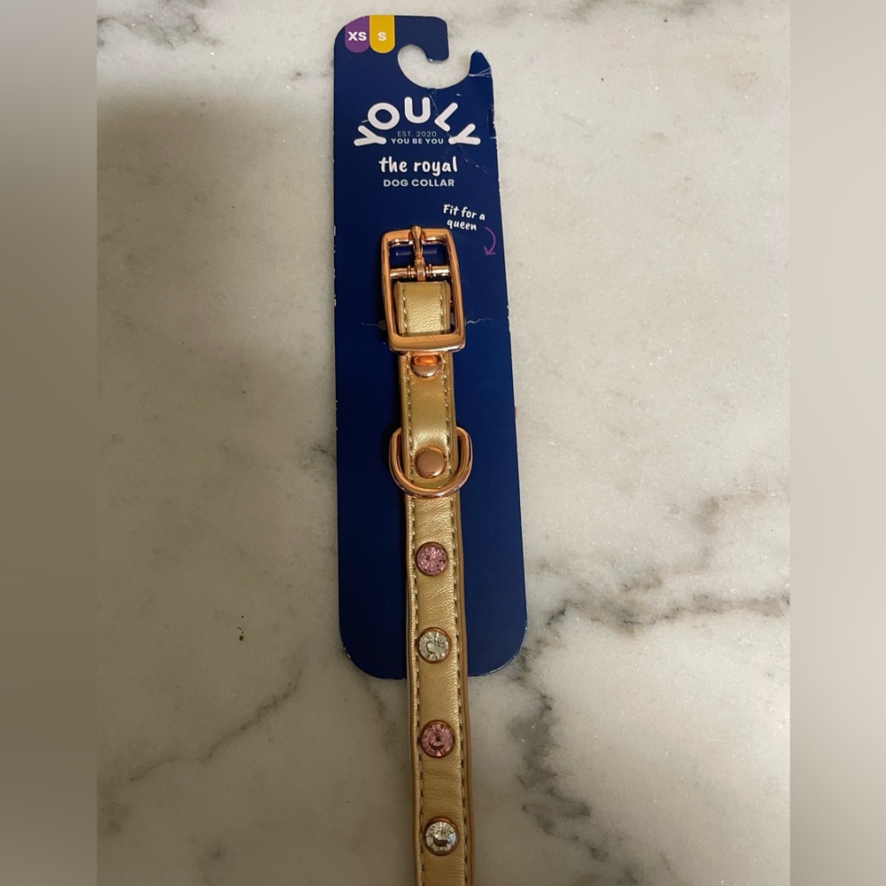 Gold and Pink Studded Dog Collar with Matching Buckle